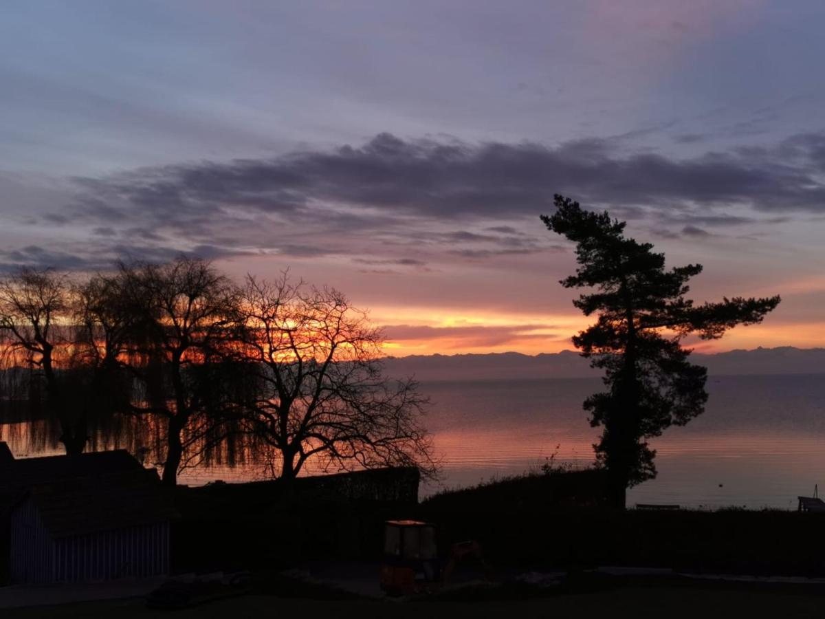 Gaestehaus Zum Landesteg Immenstaad am Bodensee Eksteriør bilde
