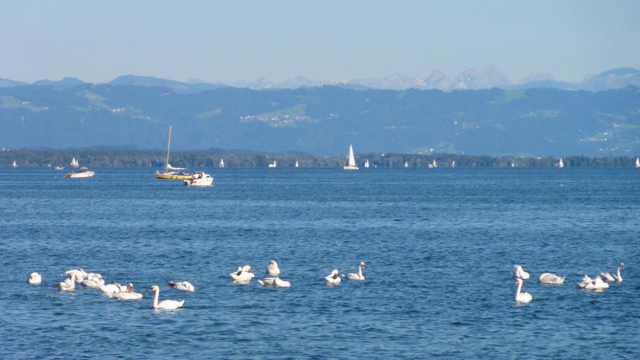 Gaestehaus Zum Landesteg Immenstaad am Bodensee Eksteriør bilde